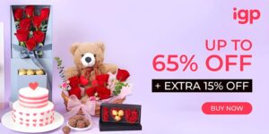 IGP Coupon Code & Discount: Up to 80% OFF